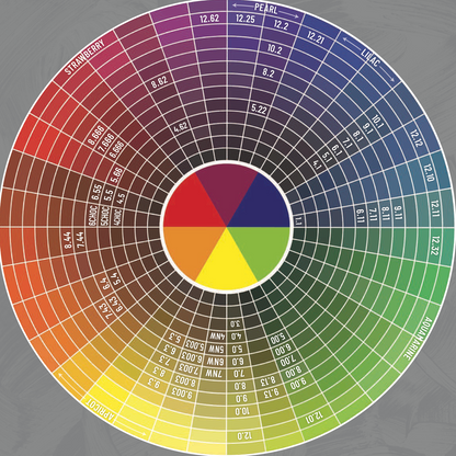 OSMO IKON Permanent Hair Colour 100ml