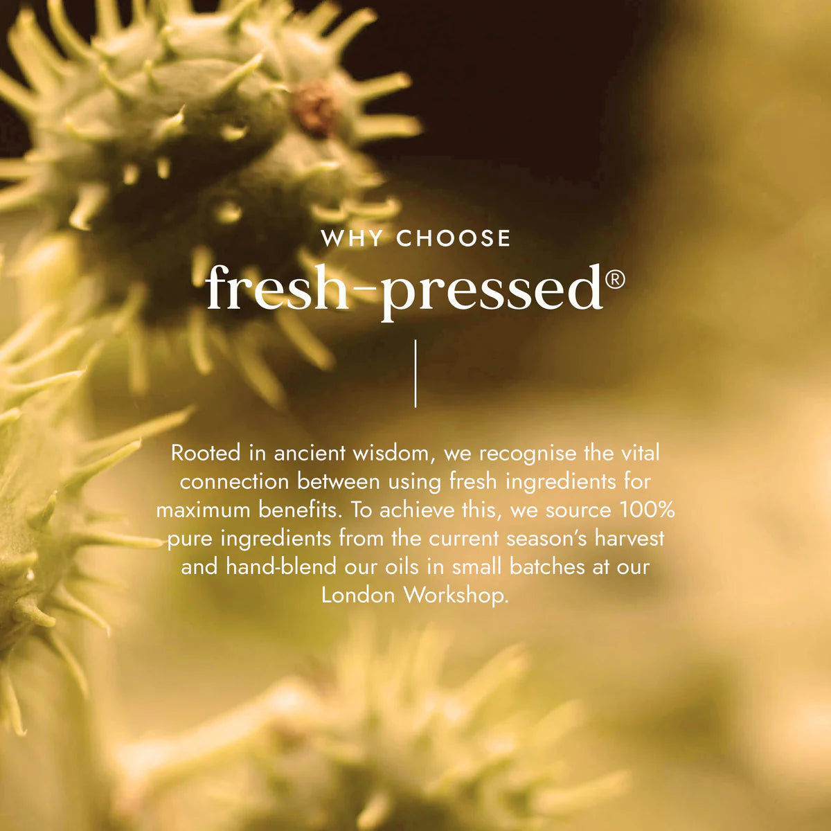 Fushi Fresh Pressed 100% Pure Castor Oil 250ml