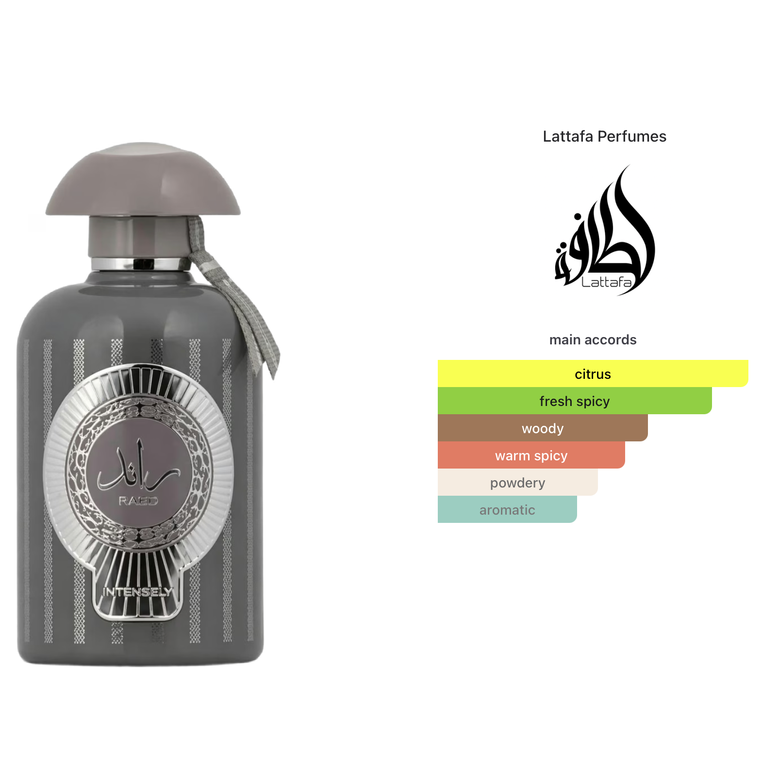 Lattafa Ra'ed Intensely Eau De Parfum 100ml