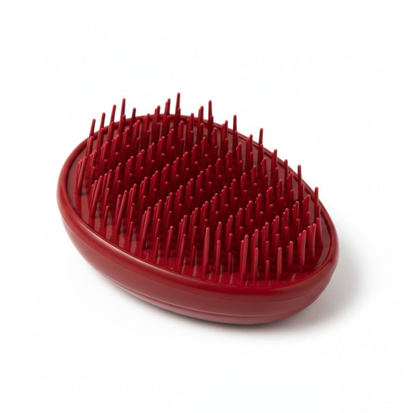 Red grooming brush on a white background