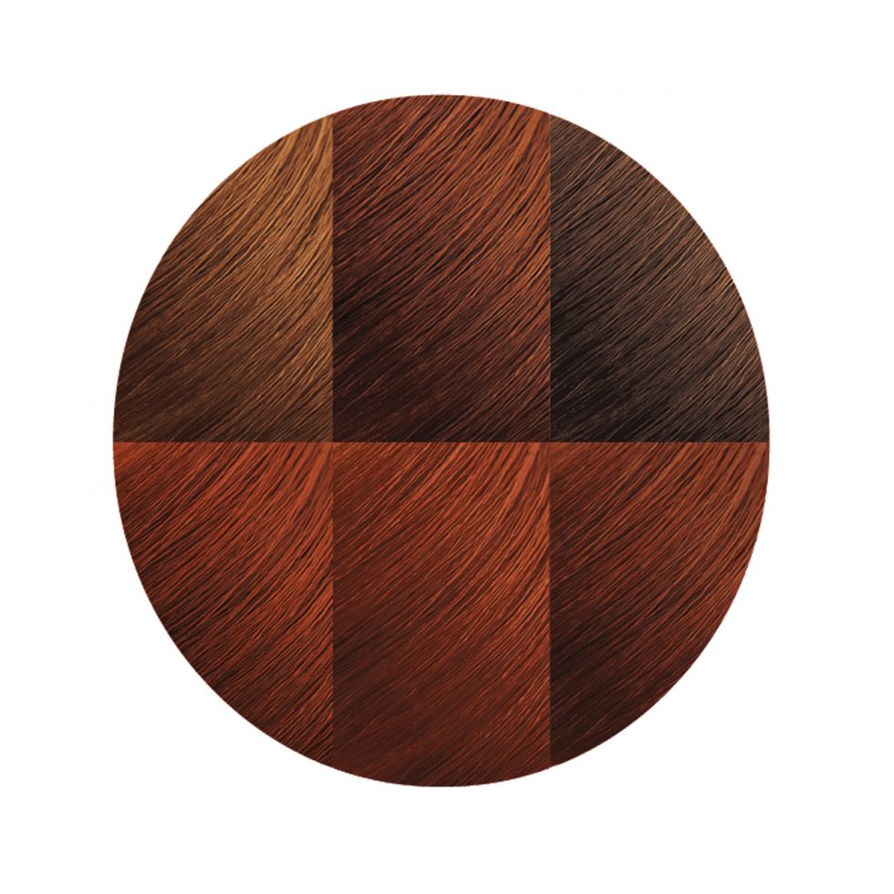 Creme of Nature Exotic Shine™ Color with Argan Oil from Morocco 7.64 Bronze Copper