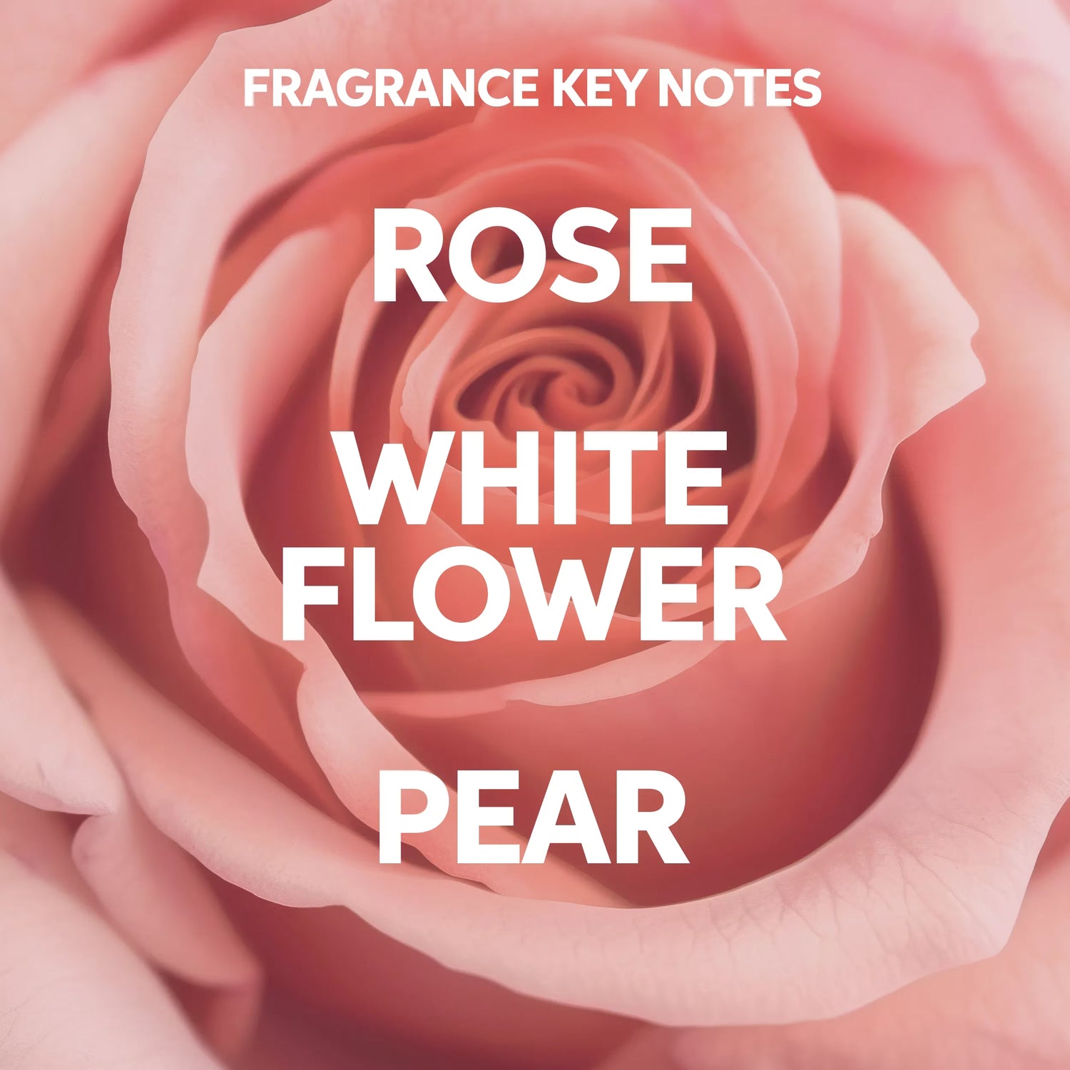 Wella Professionals Care Fusion Intense Repair Shampoo