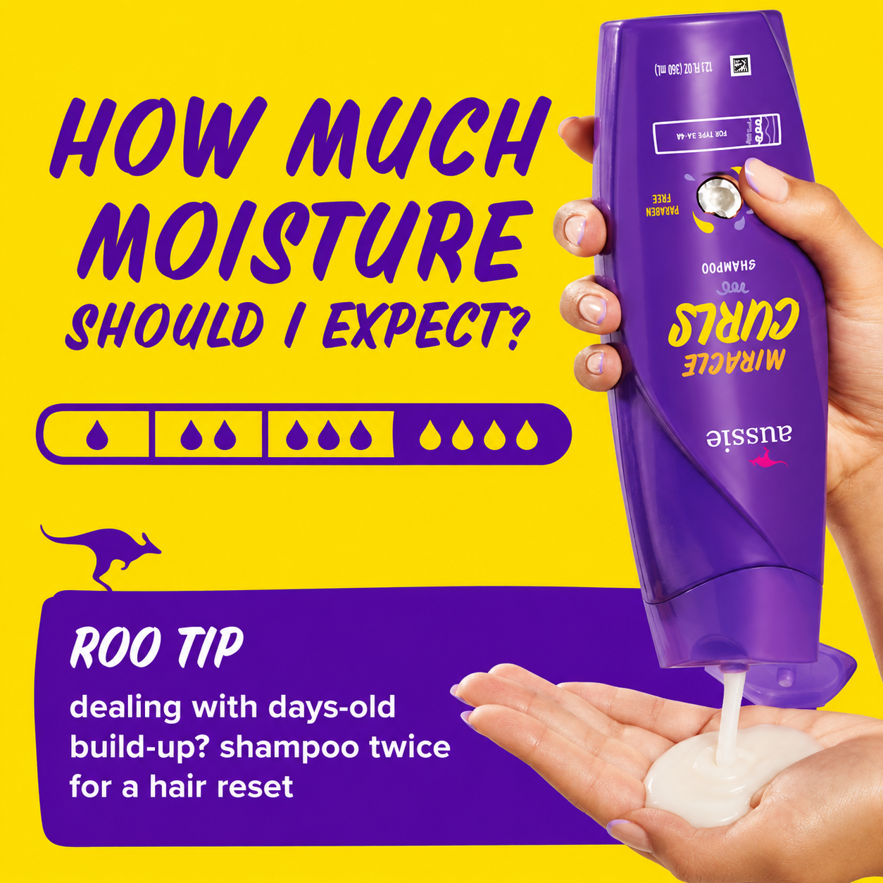 a promotional graphic featuring aussie miracle curls shampoo being dispensed into a hand against a bright yellow background. the design includes a moisture level indicator and a roo tip recommending shampooing twice to remove days-old build-up for a fresh hair reset.
