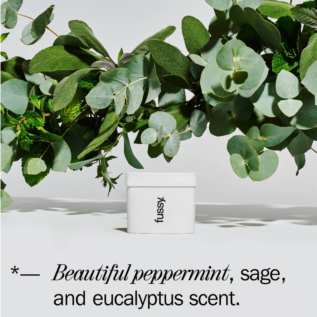 Fussy Natural Deodorant Wavy Days Refill