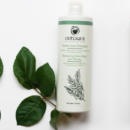 Odylique Gentle Herb Shampoo