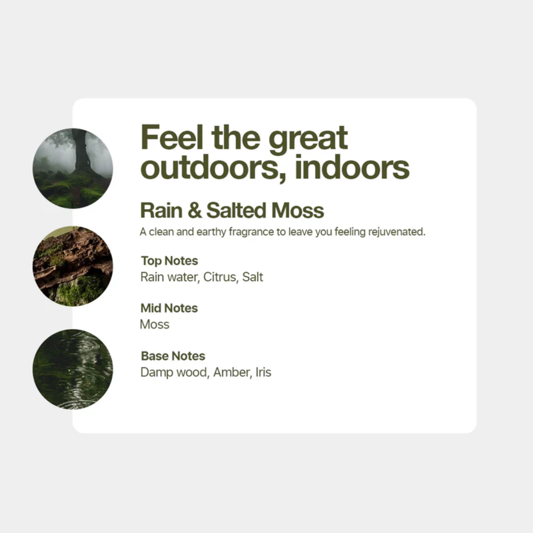 Tallow + Ash Rain & Salted Moss Fabric Cleansing Perfume 500