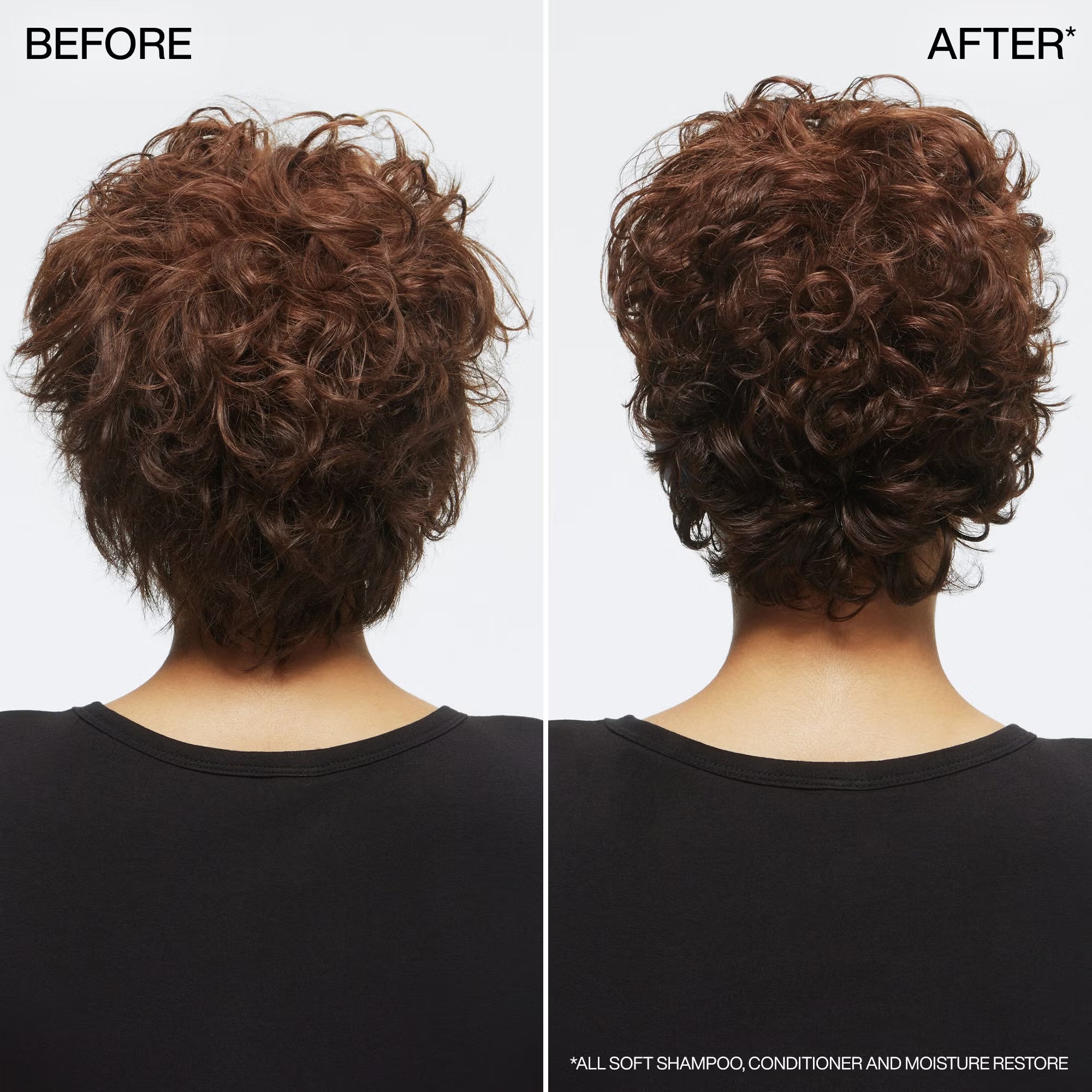Redken All Soft Shampoo for Dry Hair