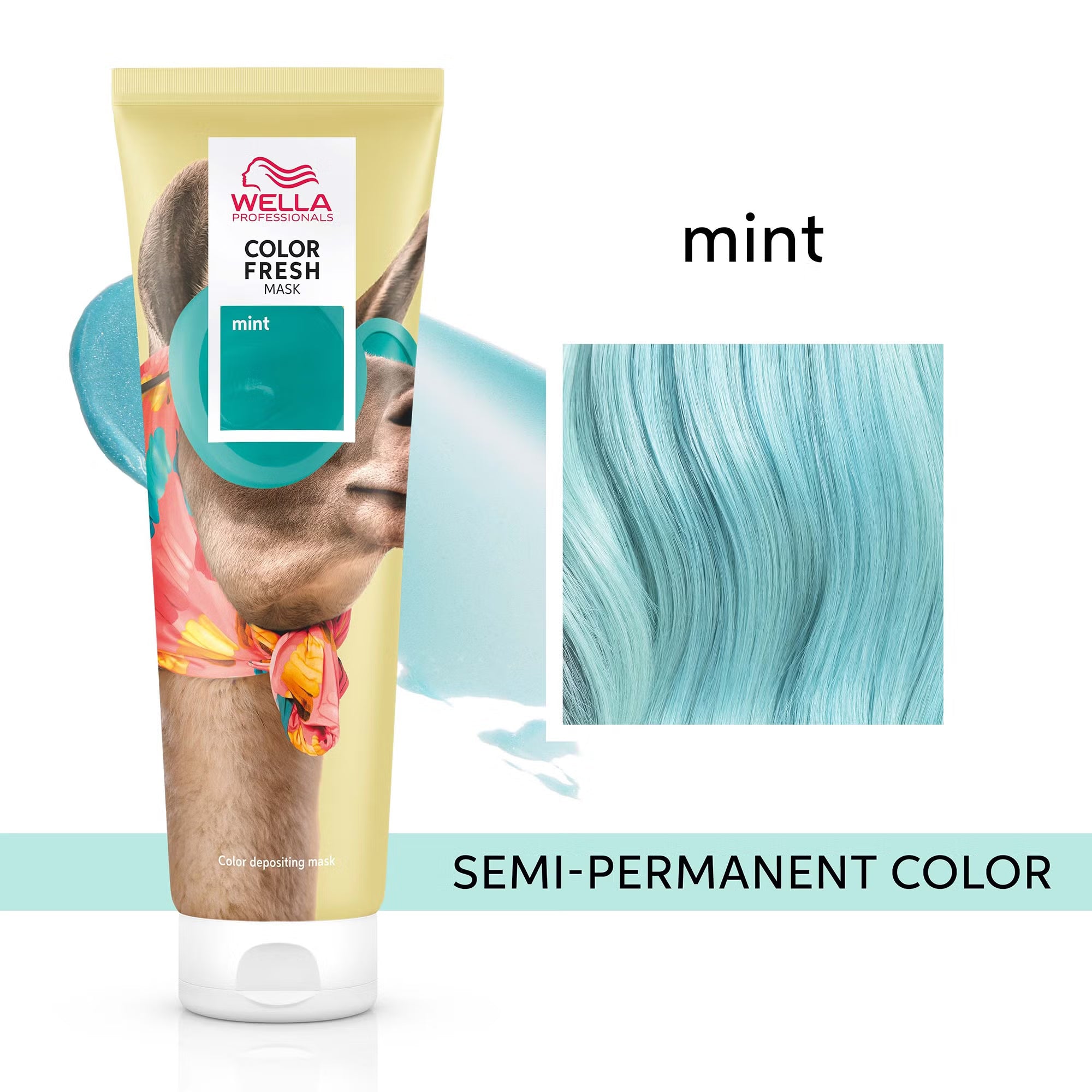 #color_mint