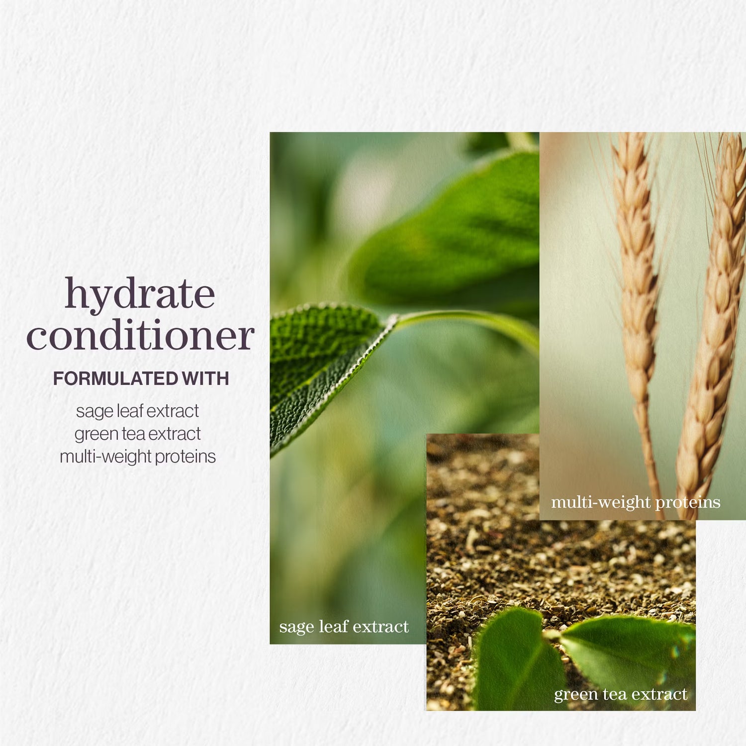 Pureology Hydrate Conditioner