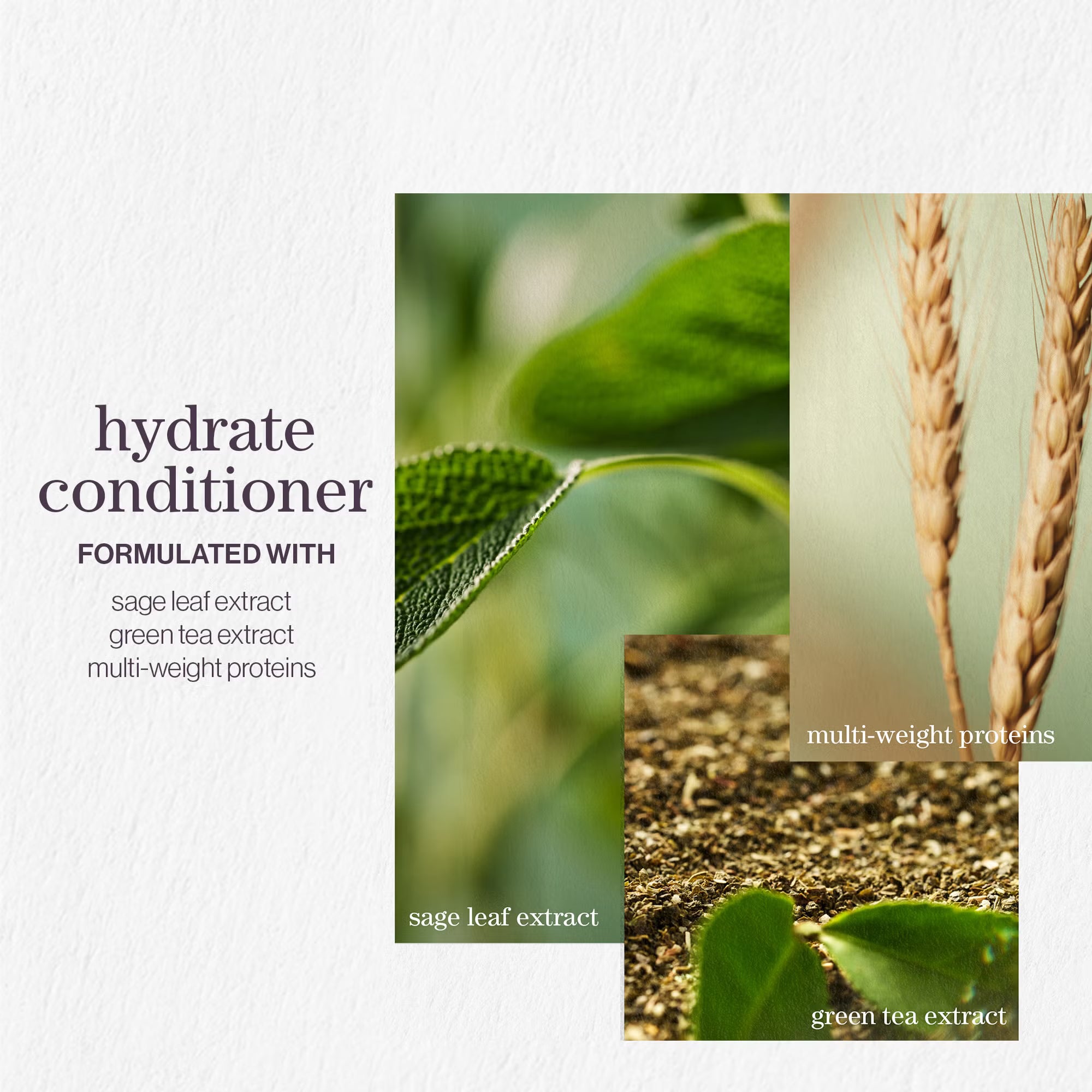 Pureology Hydrate Conditioner