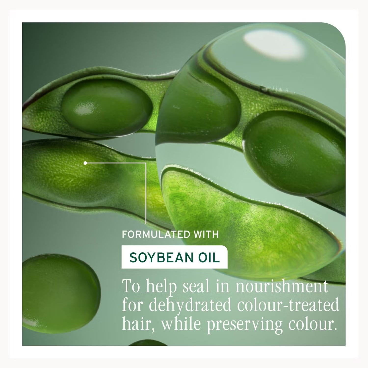 Biolage Professional Color Last Shampoo 400ml