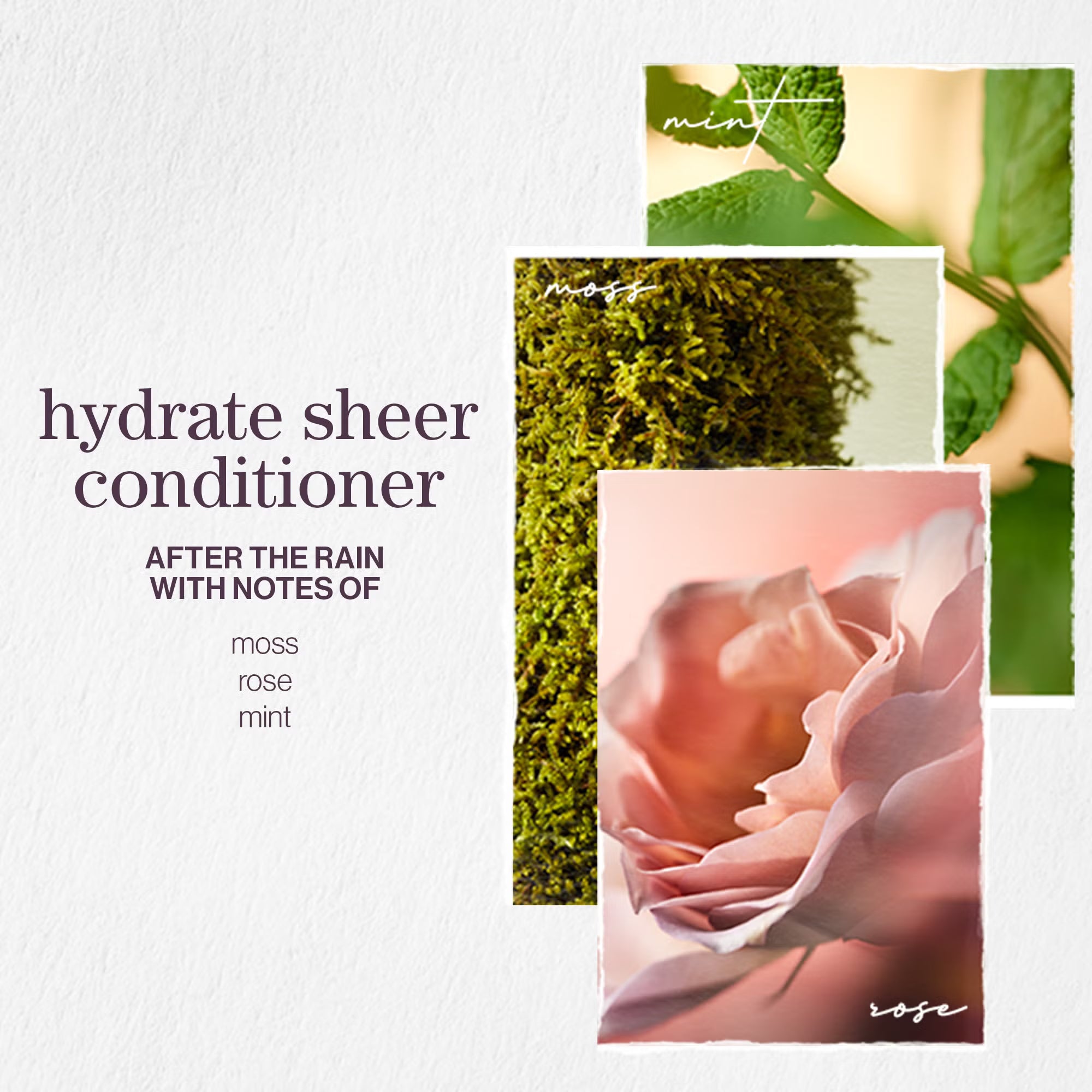 Pureology Hydrate Sheer Conditioner