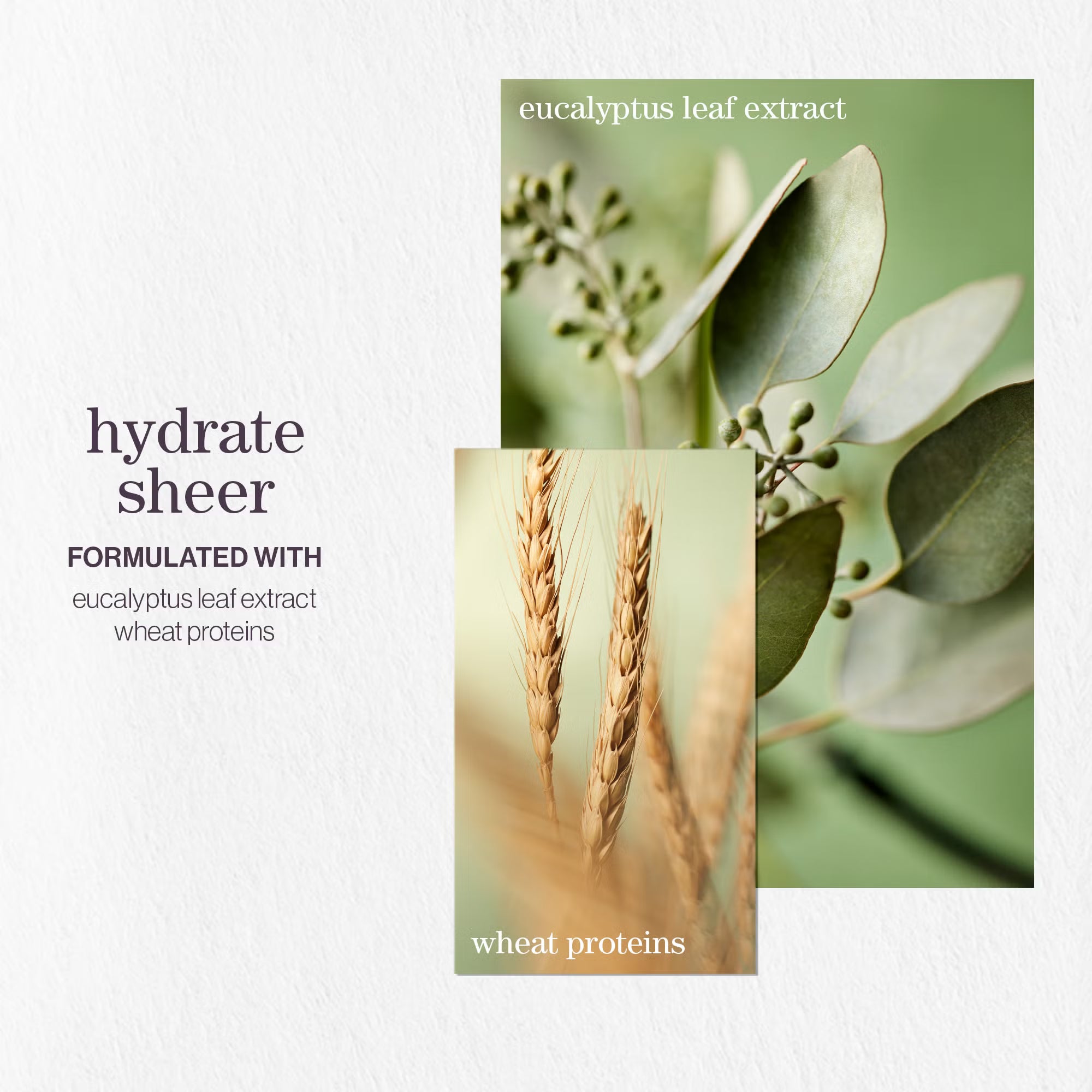Pureology Hydrate Sheer Conditioner