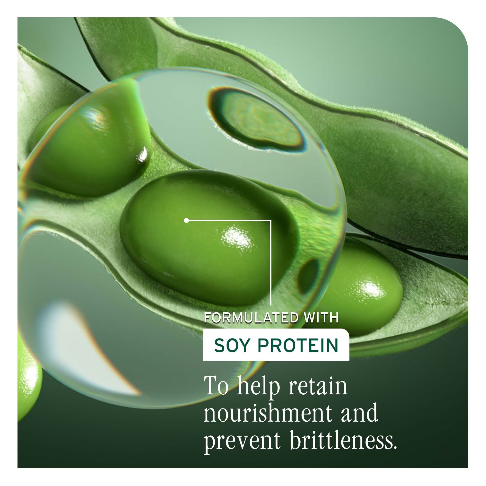 Biolage Professional Volume Boost Conditioner 400ml