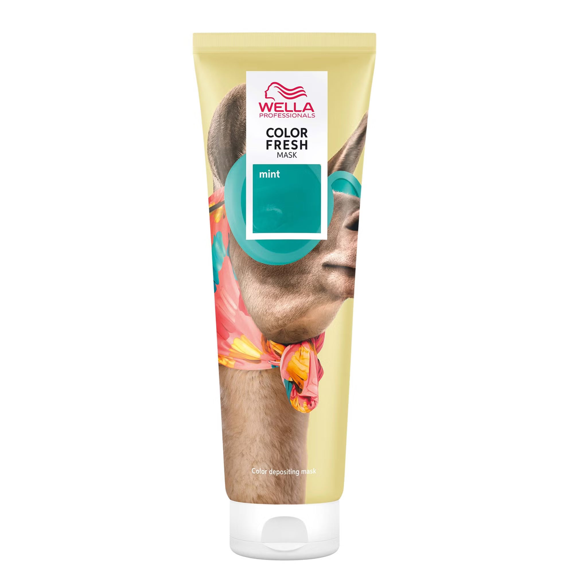 #color_mint
