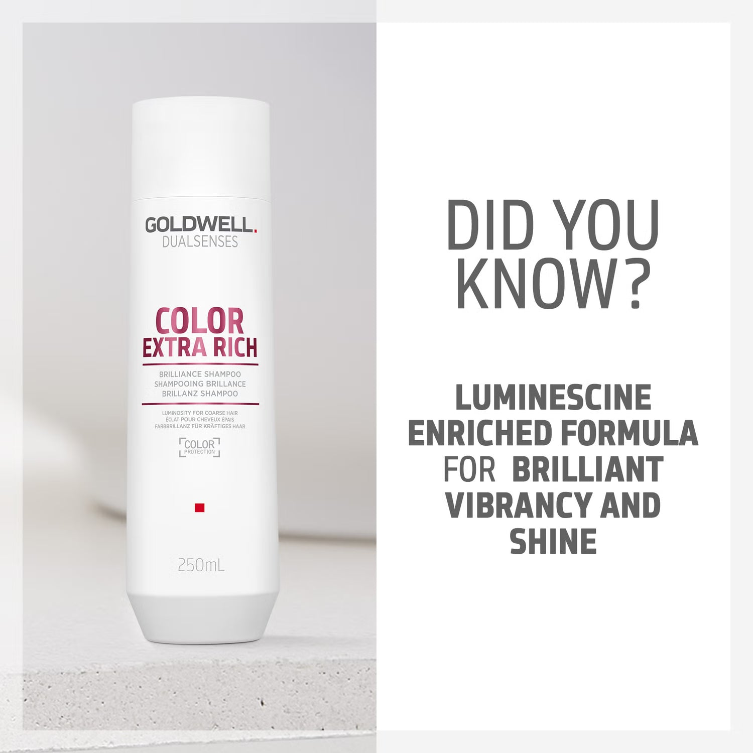 Goldwell Dualsenses Color Extra Rich Brilliance Shampoo