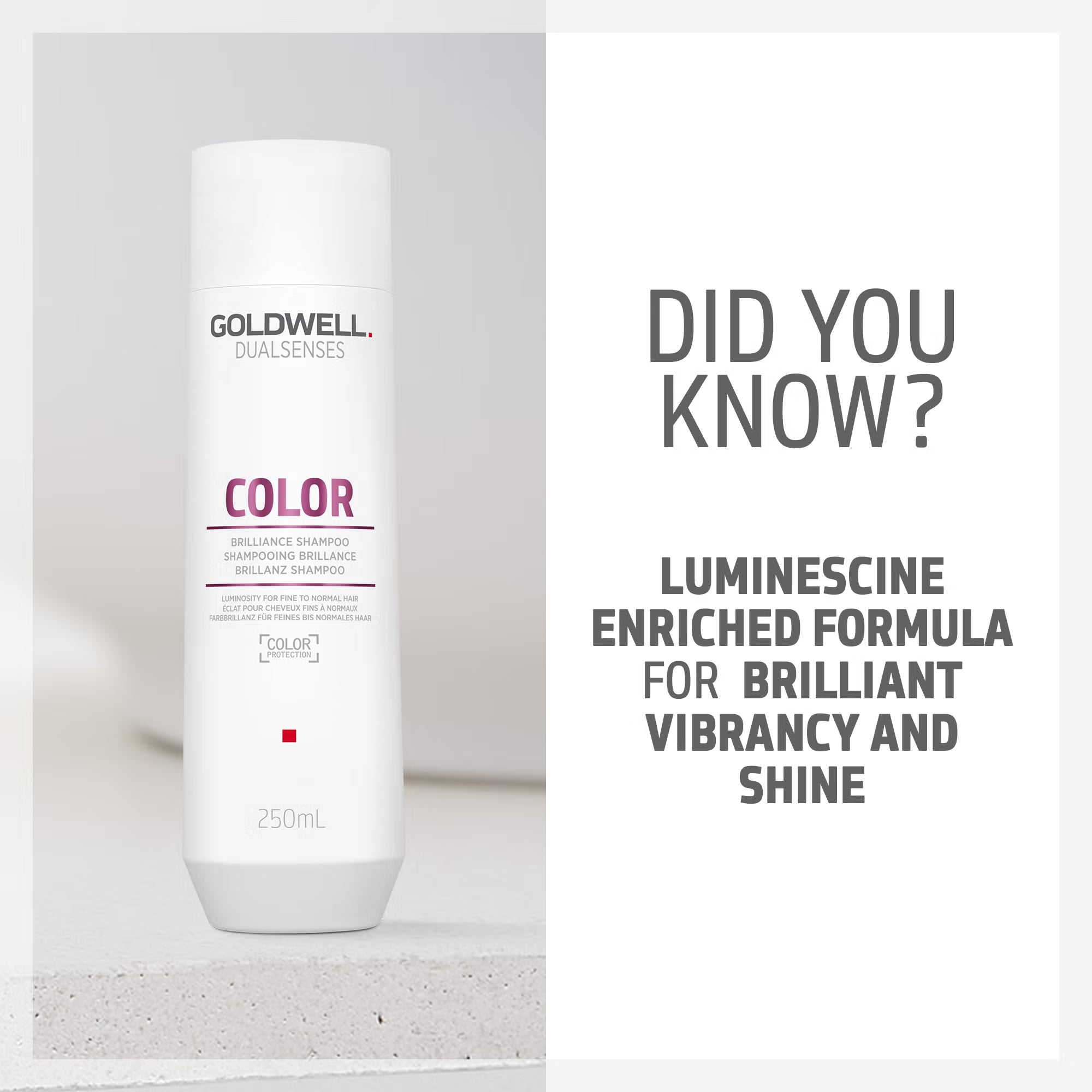Goldwell Dualsenses Color Brilliance Shampoo