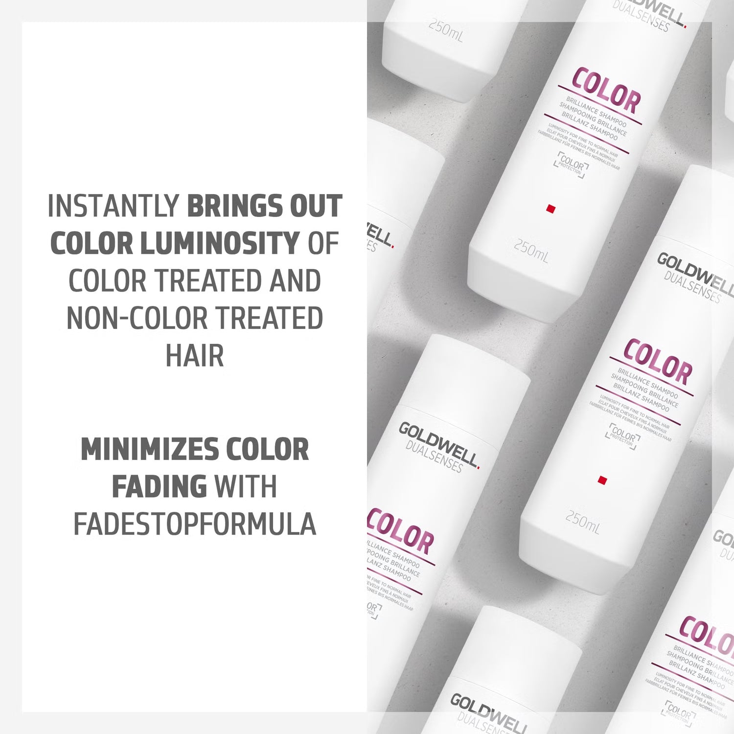 Goldwell Dualsenses Color Brilliance Shampoo