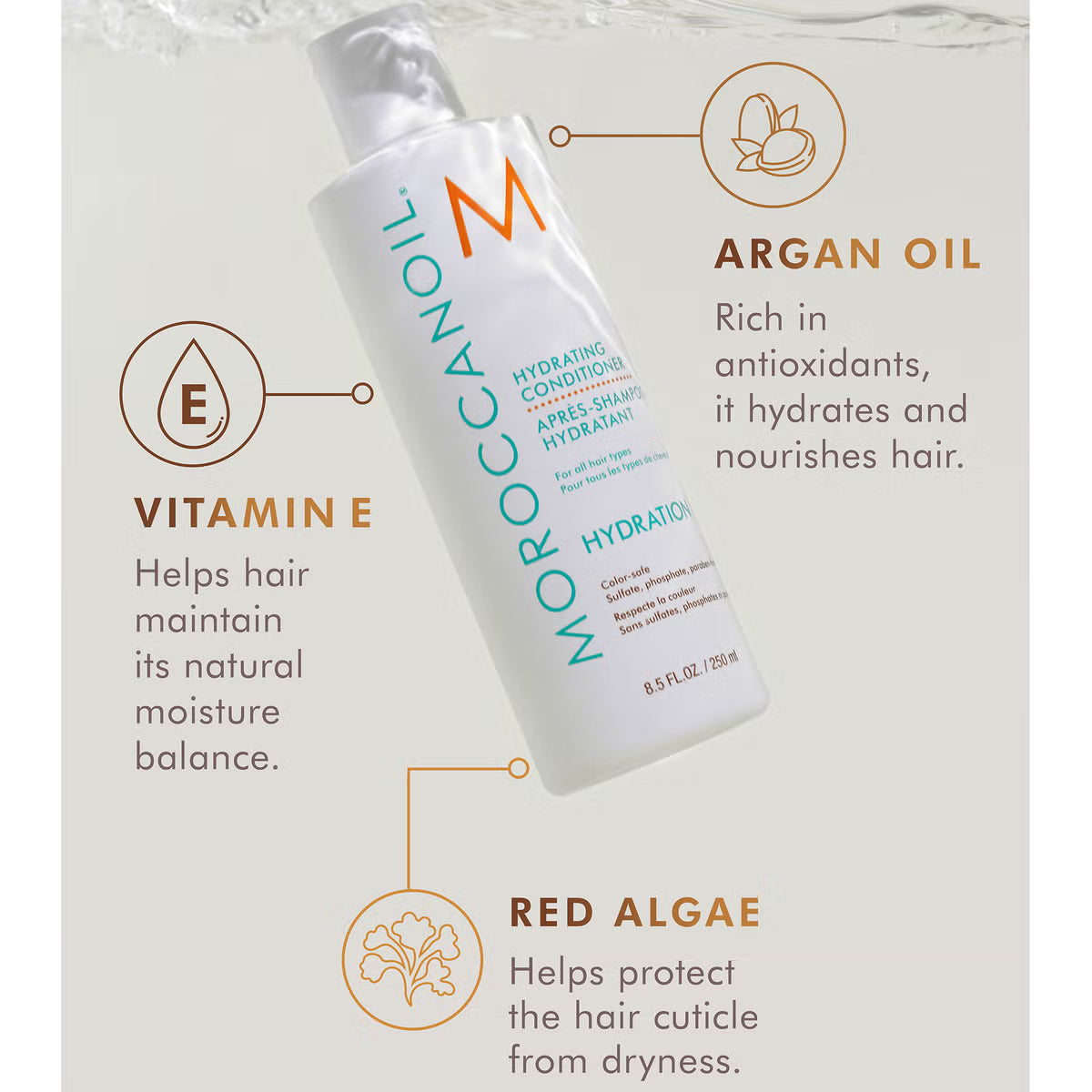 Moroccanoil Hydrating Conditioner