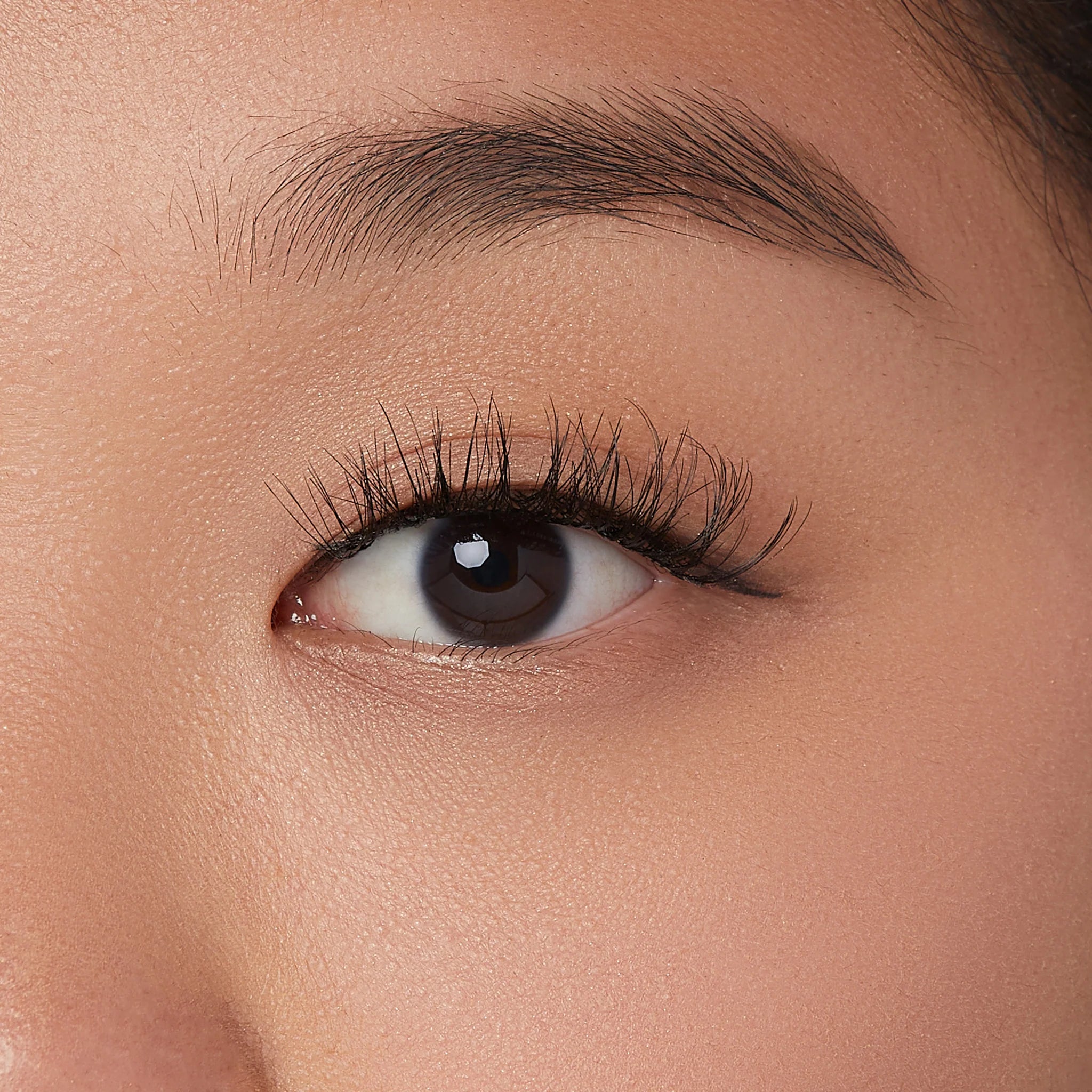 Kiss ImPRESS Press On Falsies Edgy Wispy