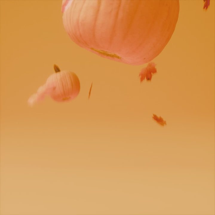 Load video: Honeybalm Lip Balm - Pumpkin Spice 6.5g