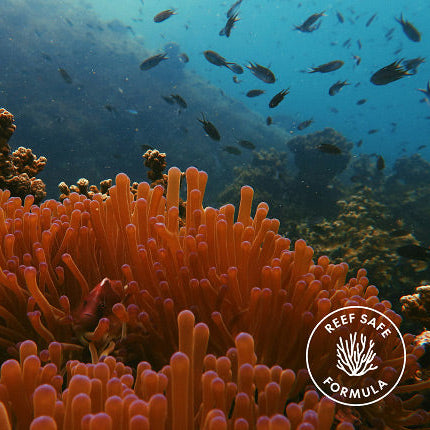 Purito Wonder Releaf Centella Daily Sun Lotion SPF50+ PA++++ 60ml