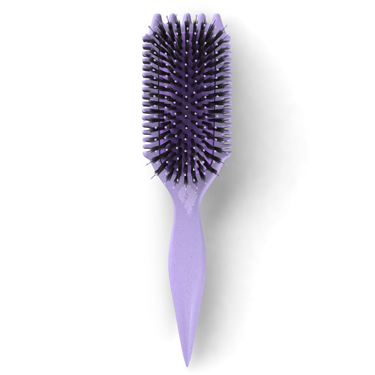 #color_purple