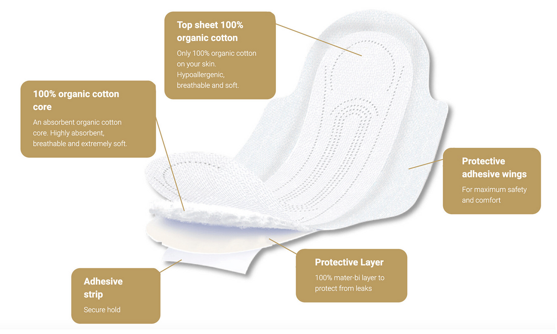 Organyc Organic Cotton Period Pads Night Folded Heavy Flow - 10