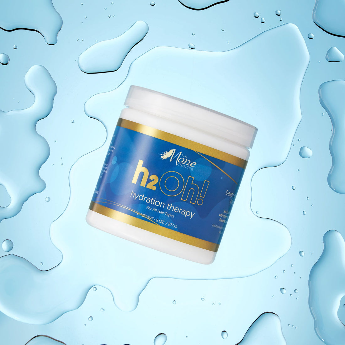 The Mane Choice H2Oh! Hydration Therapy Deep Conditioning Masque 8oz