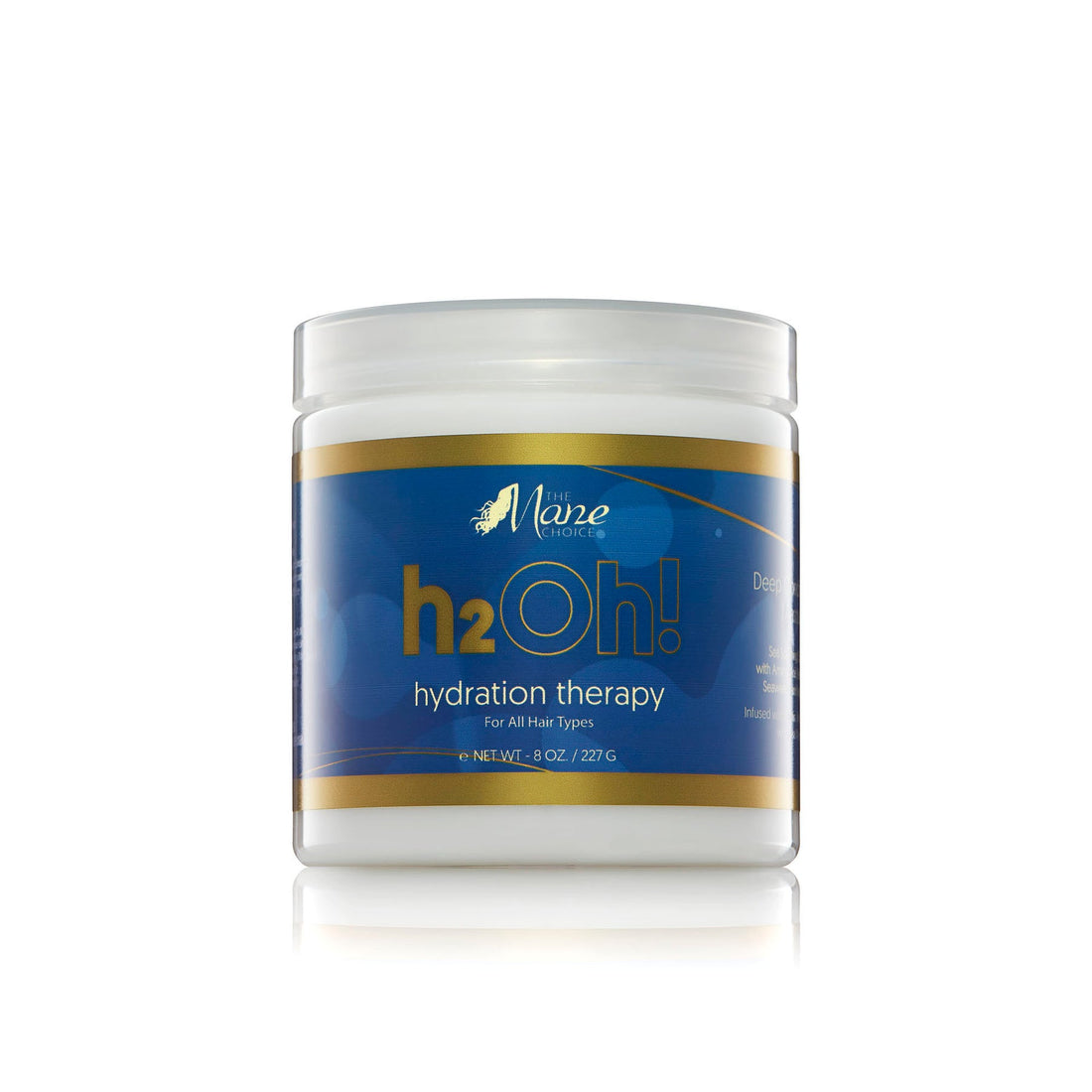 The Mane Choice H2Oh! Hydration Therapy Deep Conditioning Masque 8oz