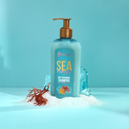 Mielle Organics Sea Moss Shampoo 8oz
